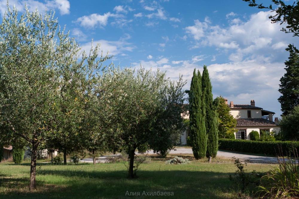 Terra della Lanterna Bed and Breakfast Cetona Esterno foto